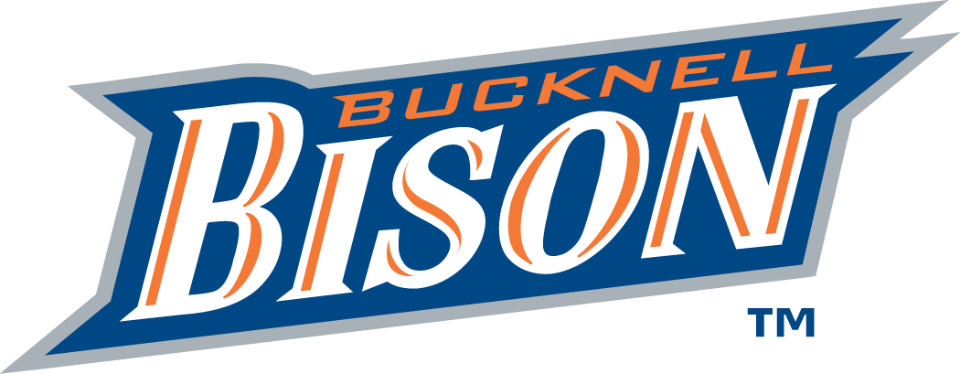 Bucknell Bison 2002-Pres Wordmark Logo diy DTF decal sticker